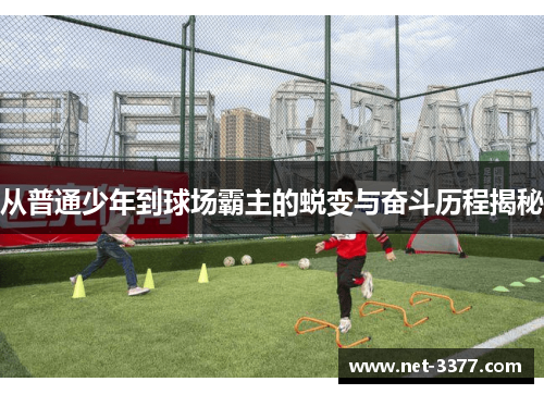从普通少年到球场霸主的蜕变与奋斗历程揭秘