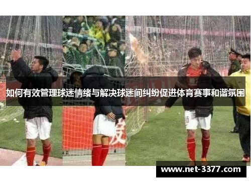 如何有效管理球迷情绪与解决球迷间纠纷促进体育赛事和谐氛围