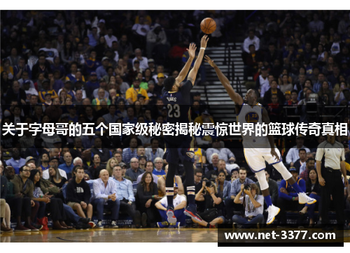 关于字母哥的五个国家级秘密揭秘震惊世界的篮球传奇真相