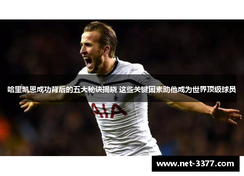 哈里凯恩成功背后的五大秘诀揭晓 这些关键因素助他成为世界顶级球员