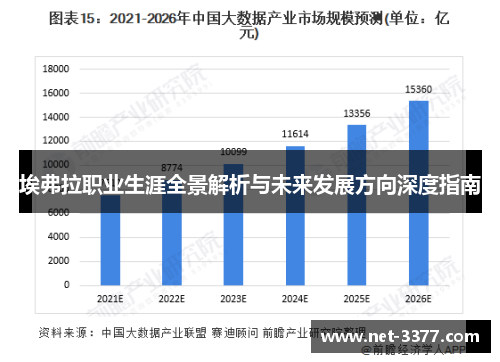 埃弗拉职业生涯全景解析与未来发展方向深度指南