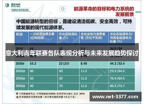意大利青年联赛各队表现分析与未来发展趋势探讨